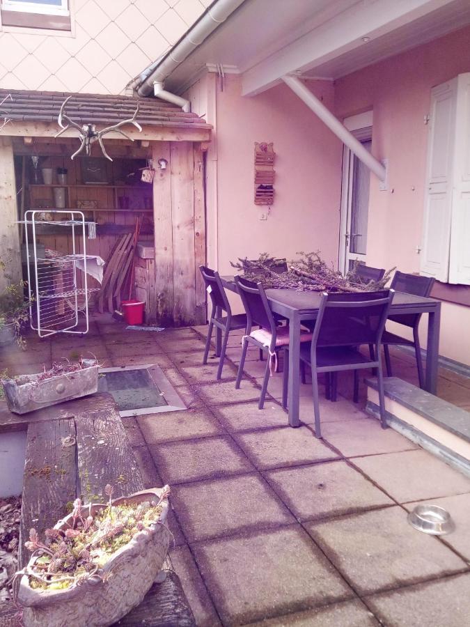 Spacieux Appartement Dans Le Centre De Munster Munster  Ngoại thất bức ảnh